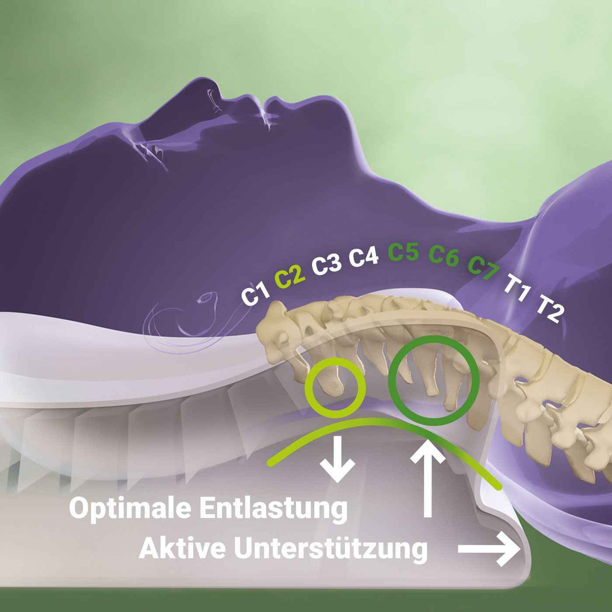 Edonna Ergonomisches Nackenkissen für Optimalen Schlafkomfort - Ergonomisches Nackenkissen Edonna